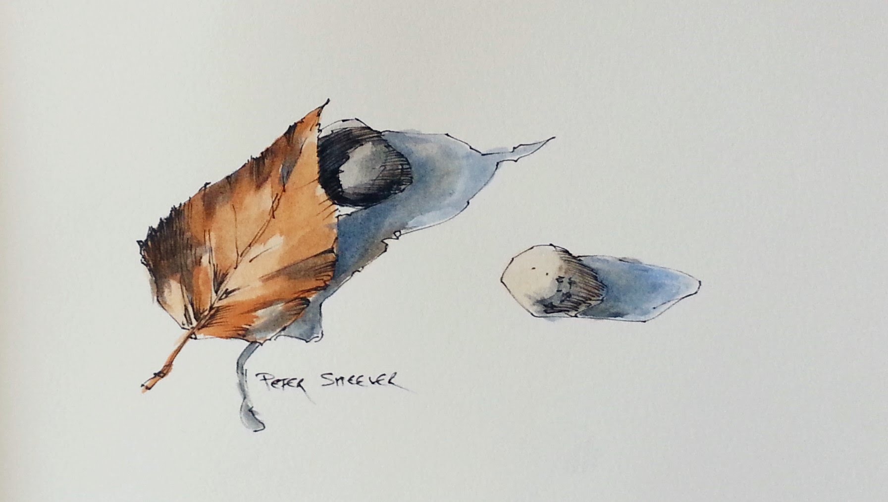 1793x1013 Line And Wash Watercolor Demonstration. How To Paint A Leaf And