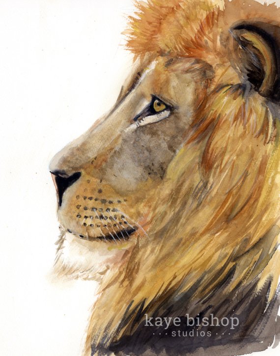 570x725 Lion Watercolor Painting Animal Art Lion Painting Lion Etsy