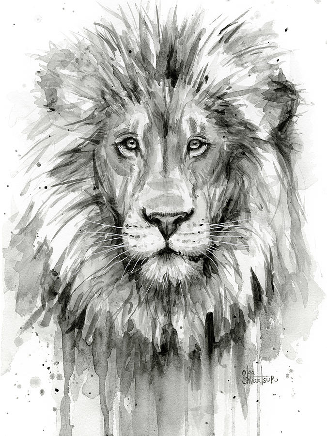 675x900 Lion Watercolor Painting By Olga Shvartsur
