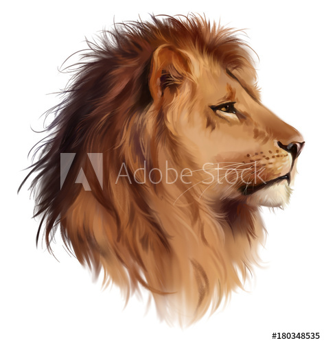 472x500 The Head Of A Lion Watercolor Painting