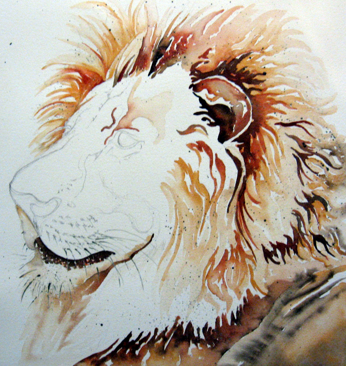 1419x1500 Watercolor Lion Leslie White