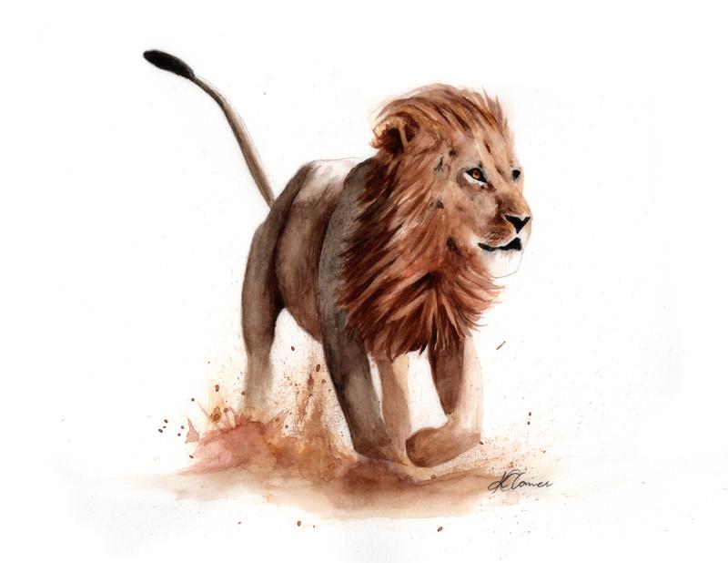 800x618 Lion, Watercolor, 16 X 12 Art
