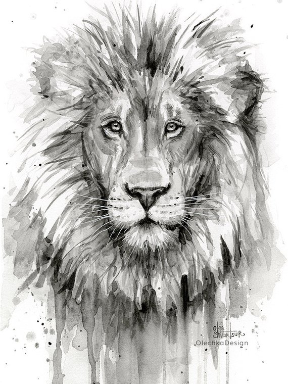 570x760 Lion Watercolor Painting Black And White Lion Art Print Etsy