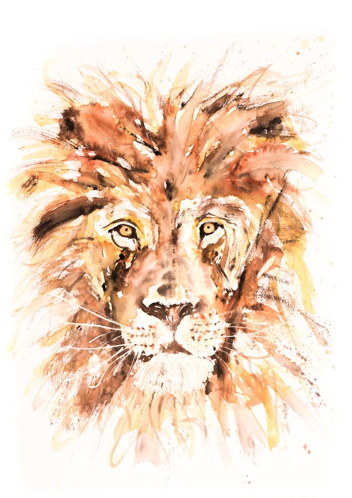 707x1000 Lion Watercolor Painting Watercolour Lion No.1
