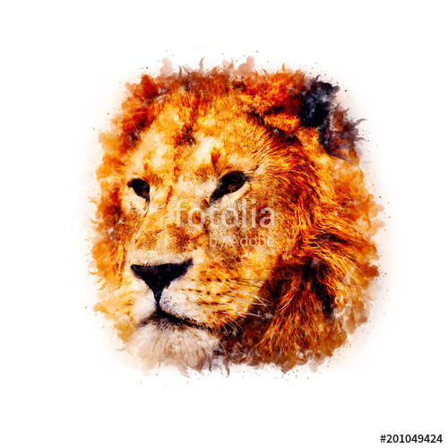 500x500 Lion Watercolor Painting Art 2 Stock Photo And Royalty Free