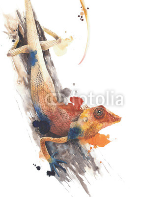340x400 Lizard Garden Lizard Reptile Wild Animal Critter Watercolor