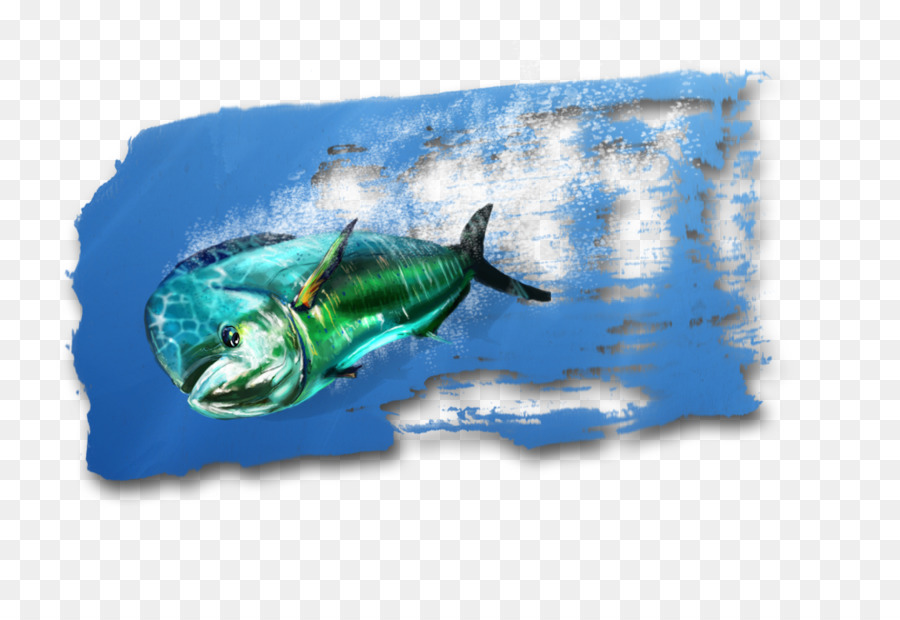 900x620 Marine Biology Fauna Fish