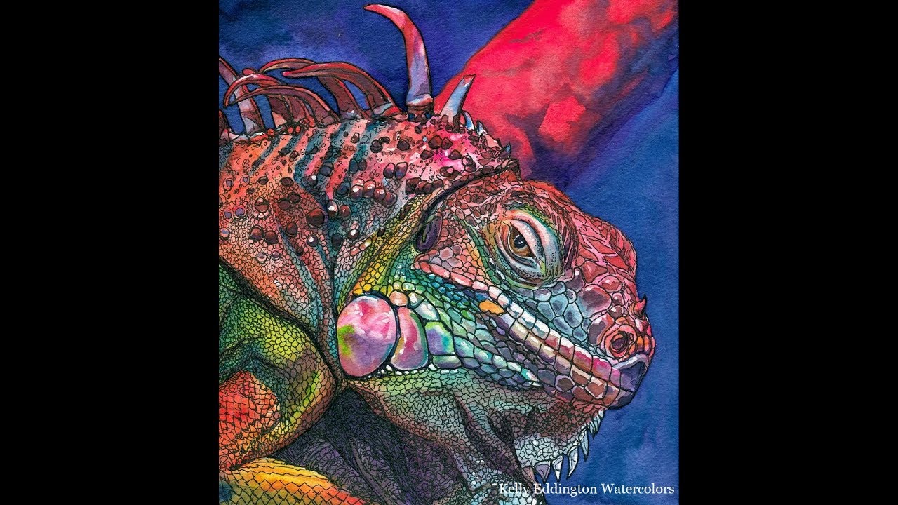 1280x720 Watercolor And Ink Iguana
