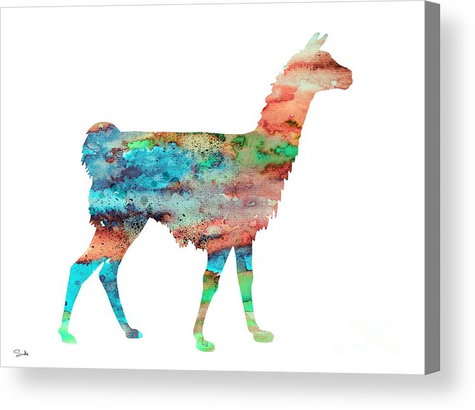 666x575 Llama Acrylic Print By Watercolor Girl