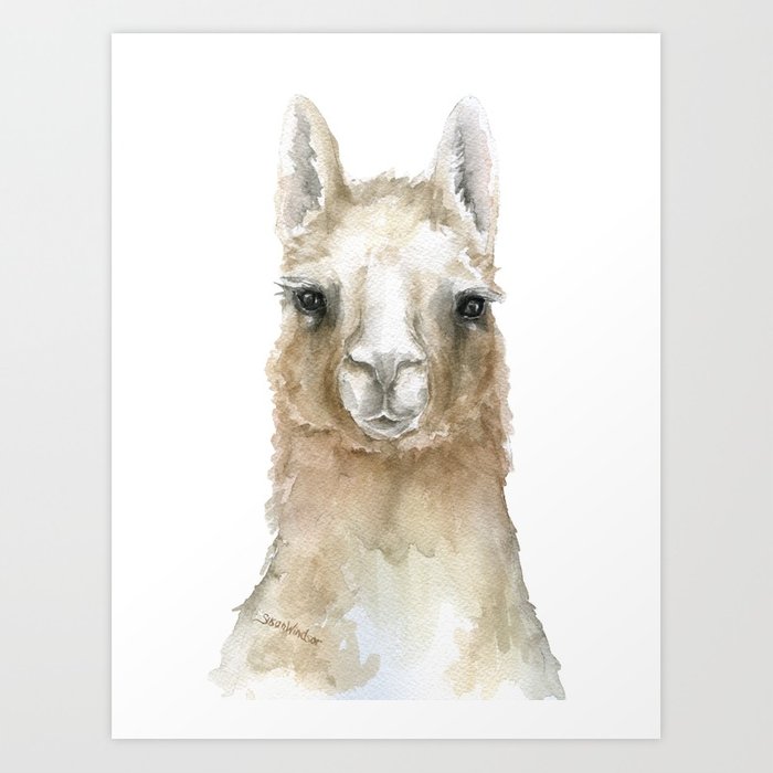 700x700 Llama Watercolor Painting Art Print By Susanwindsor Society6