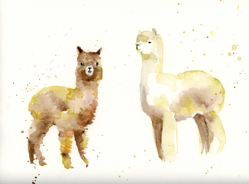 1000x739 Watercolor Animals Natalie Cooperman Illustrator