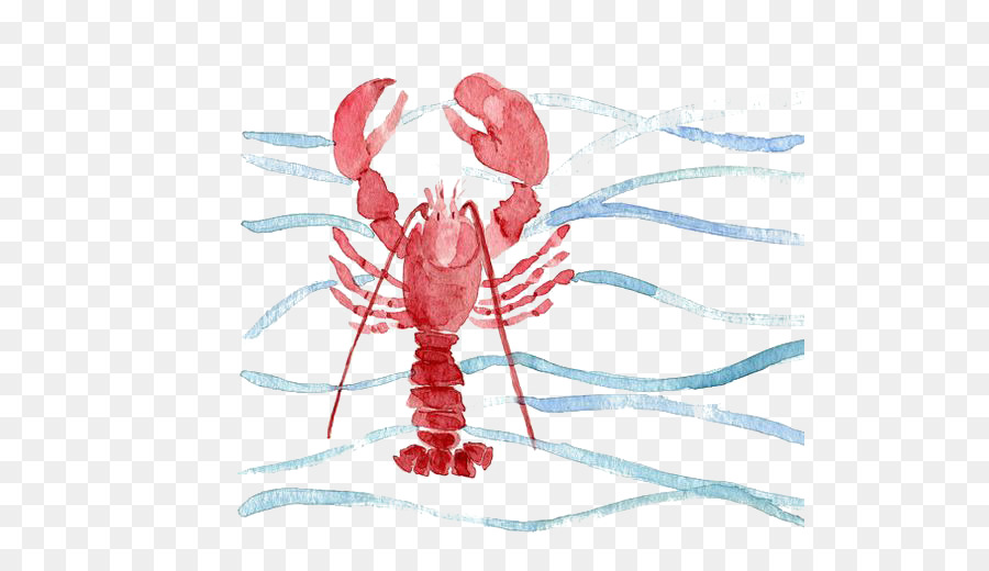 900x520 Download Red Lobster Watercolor Painting Printmaking Watercolor