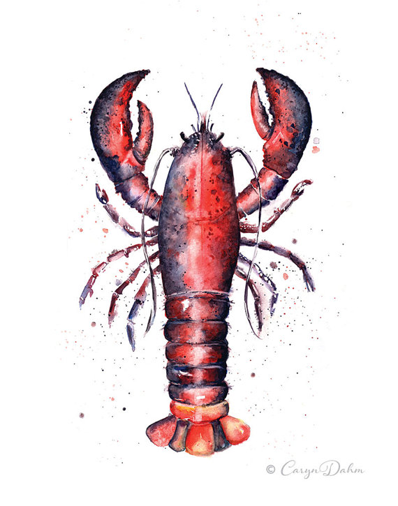 570x725 Fresh Maine Lobster Watercolor Print Food Illustration Kitchen