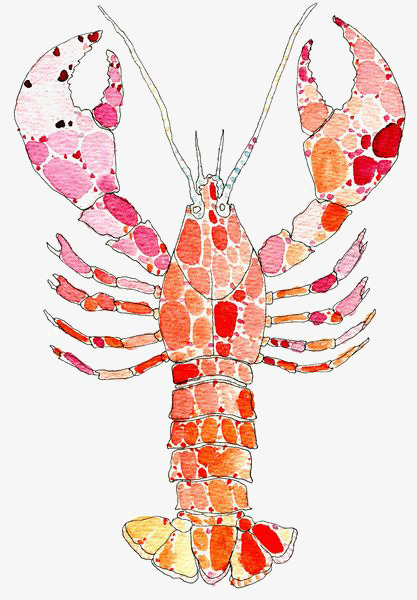 417x600 Lobster, Hand Painted Lobster, Cartoon Lobster, Watercolor Lobster