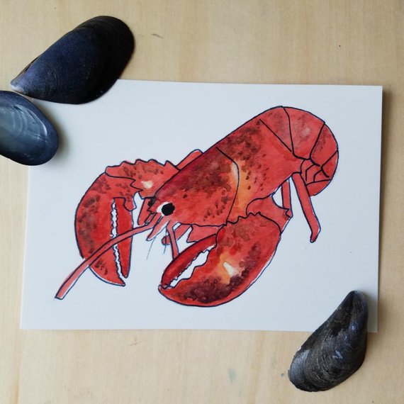 570x570 Lobster Watercolor Postcard Five Pack Nautical Stationery Set Etsy