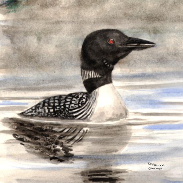 620x620 Loon Ceramic Tile Trivet Original Watercolor By Brad Tonner. 6 X