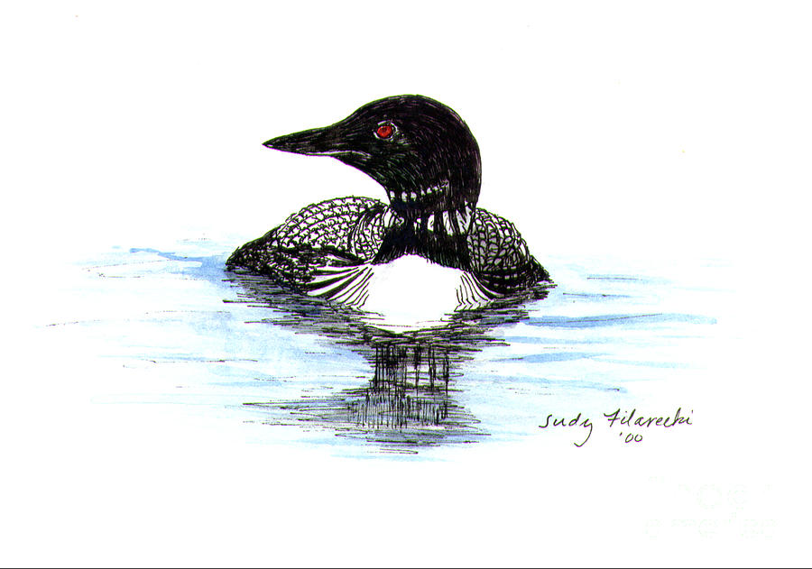 900x631 Loon Swim Judy Filarecki Watercolor Painting By Judy Filarecki