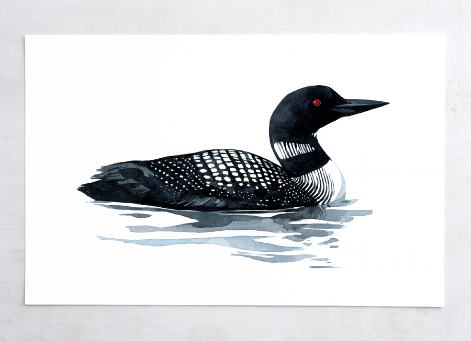 1600x1161 Loon Watercolor Art Print David Scheirer Watercolors