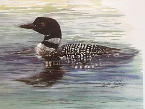 300x225 Loon Watercolor Paintings Fine Art America
