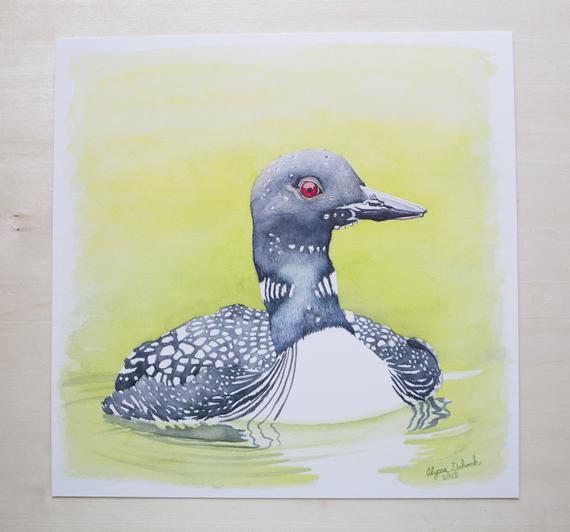 570x532 Loon Watercolor Print Nature Art Bird Painting Etsy