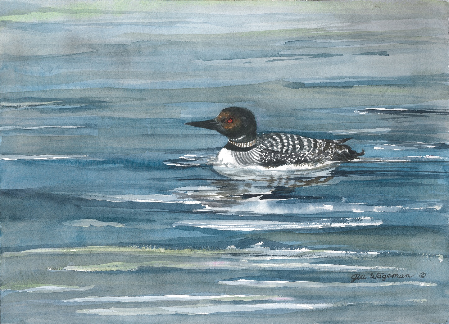 1446x1043 Looney Loon Watercolor Artist Jill Wageman