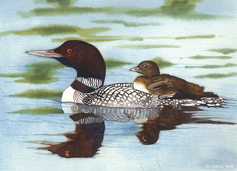 800x580 Watercolor Way Art Studio