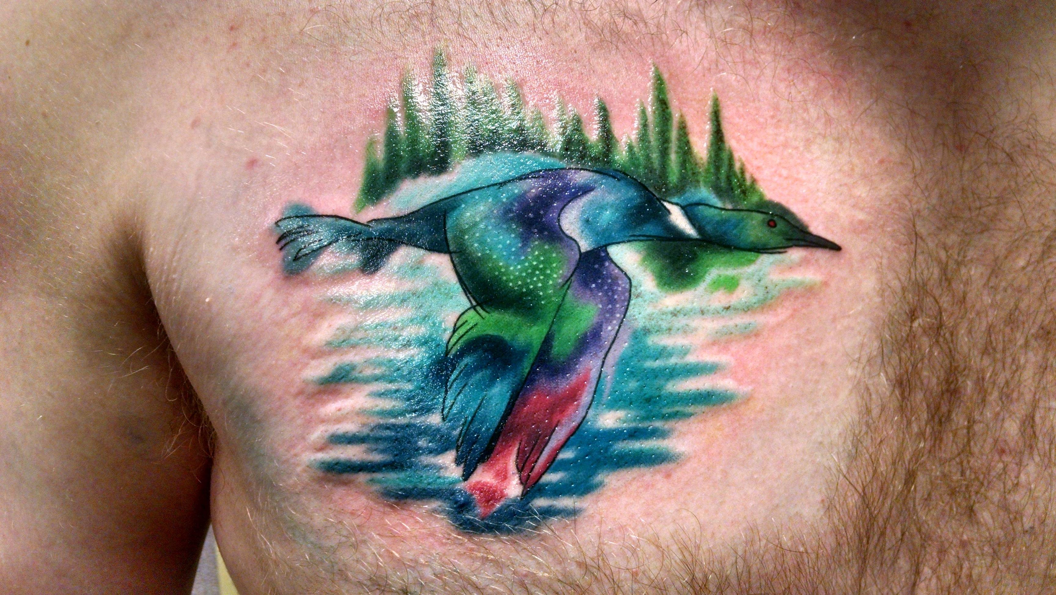 3456x1946 Watercolor Style Loon By Dane V