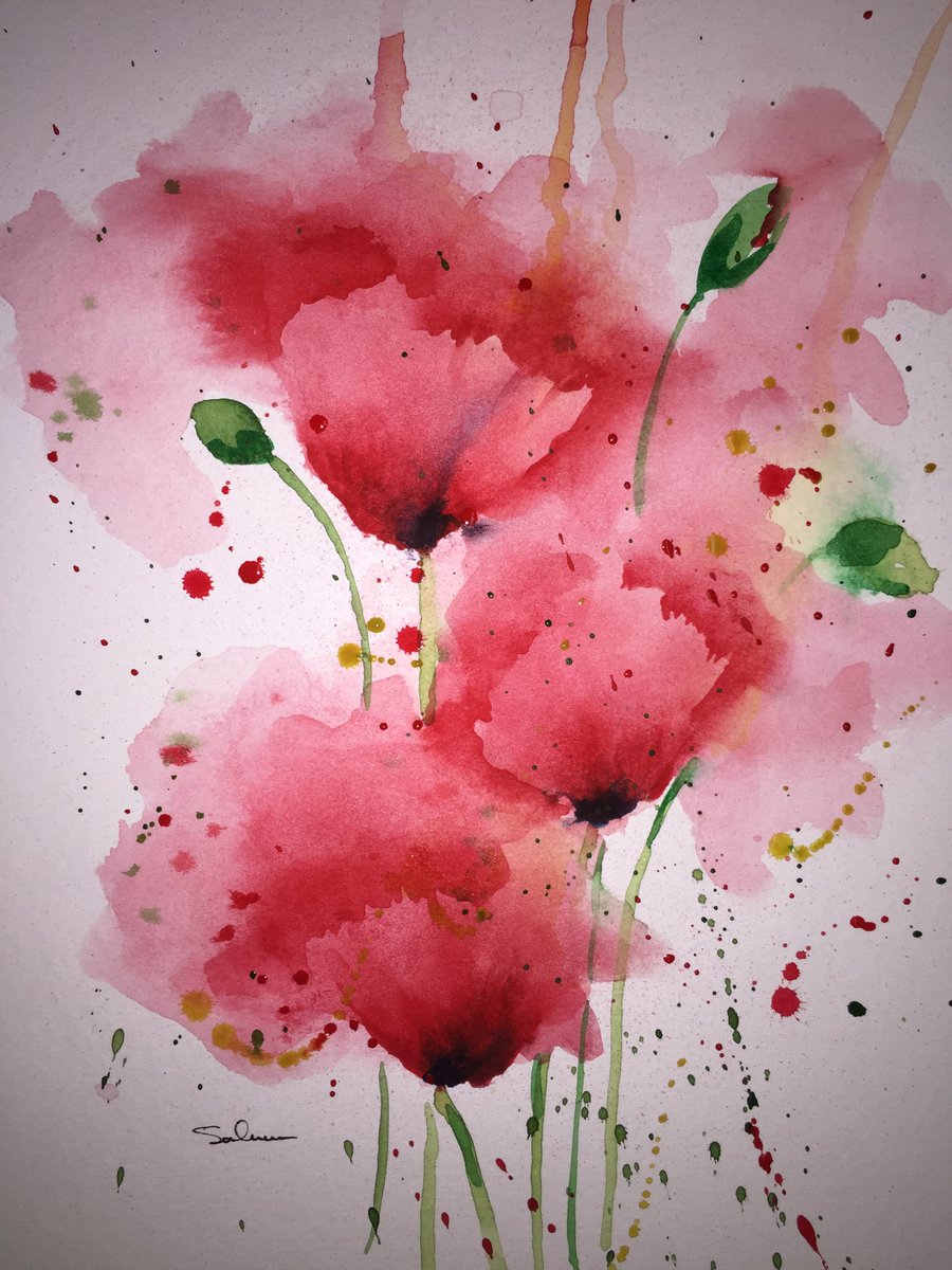 900x1200 Michael Salmon On Twitter Poppies