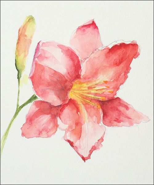 500x600 Lily Painting Unique How To Paint Loose Expressive Lilies In