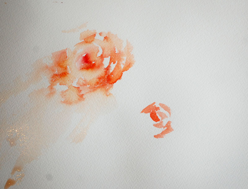 800x609 Watercolours With Life How To Paint Roses In A Loose Style.