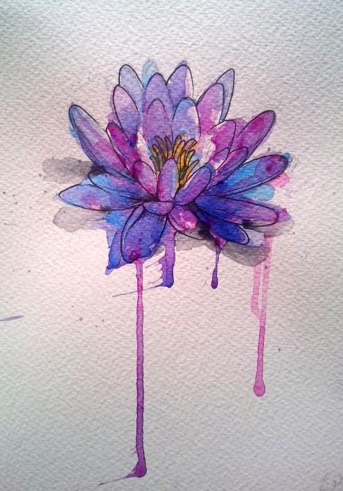 495x708 Lotus Flower Watercolor Not The Big Drips