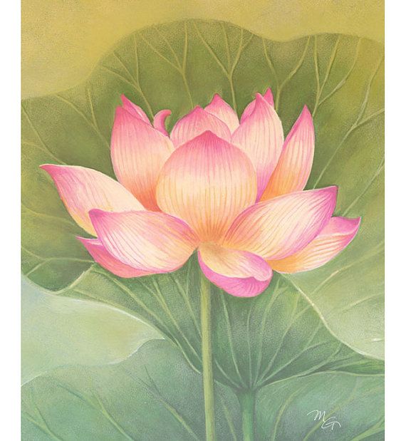 570x619 Pink Lotus Flower Watercolor Painting Art Print, Children Art