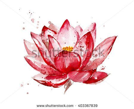 450x369 Pink Lotus Watercolor Illustration Isolated On White Background