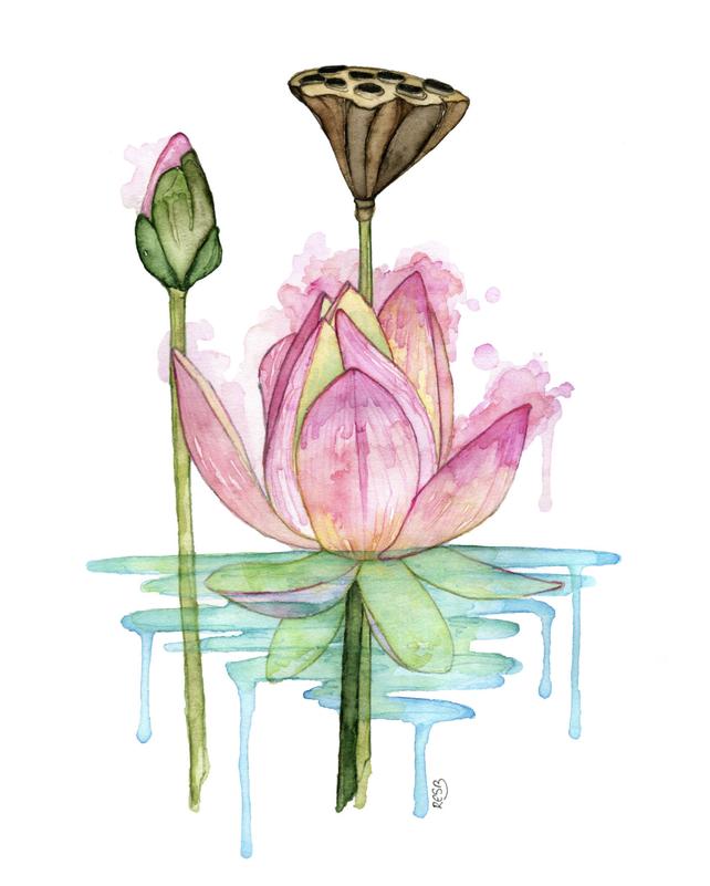 642x801 Watercolor Painting Lotus Painting Watercolor Print Etsy