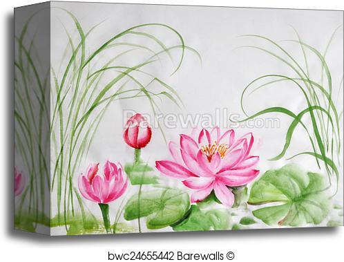 498x379 Canvas Print Of Lotus Flower Watercolor Painting Barewalls