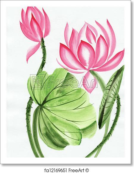 450x580 Free Art Print Of Watercolor Painting Of Pink Lotus Flower