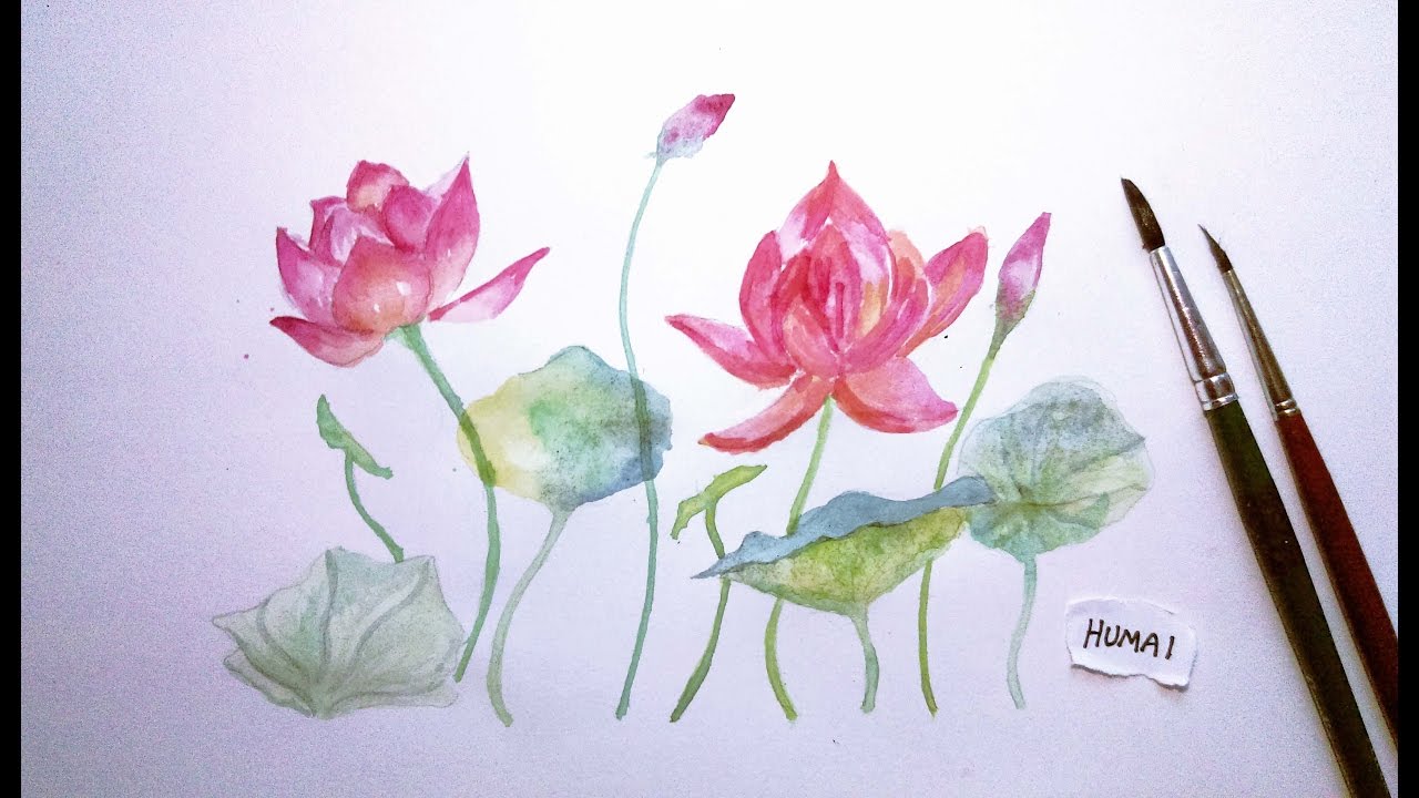 1280x720 How To Paint Lotus In Watercolour