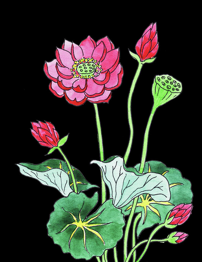 695x900 Lotus Flower Watercolour Painting By Irina Sztukowski