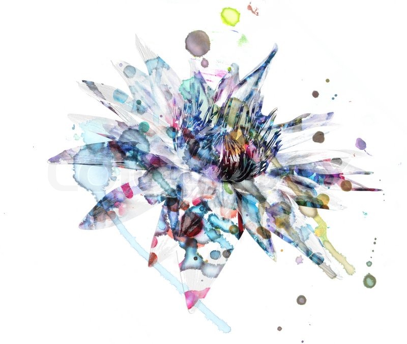 800x675 Abstract Lotus Flower Watercolor Paintings Stock Photo Colourbox