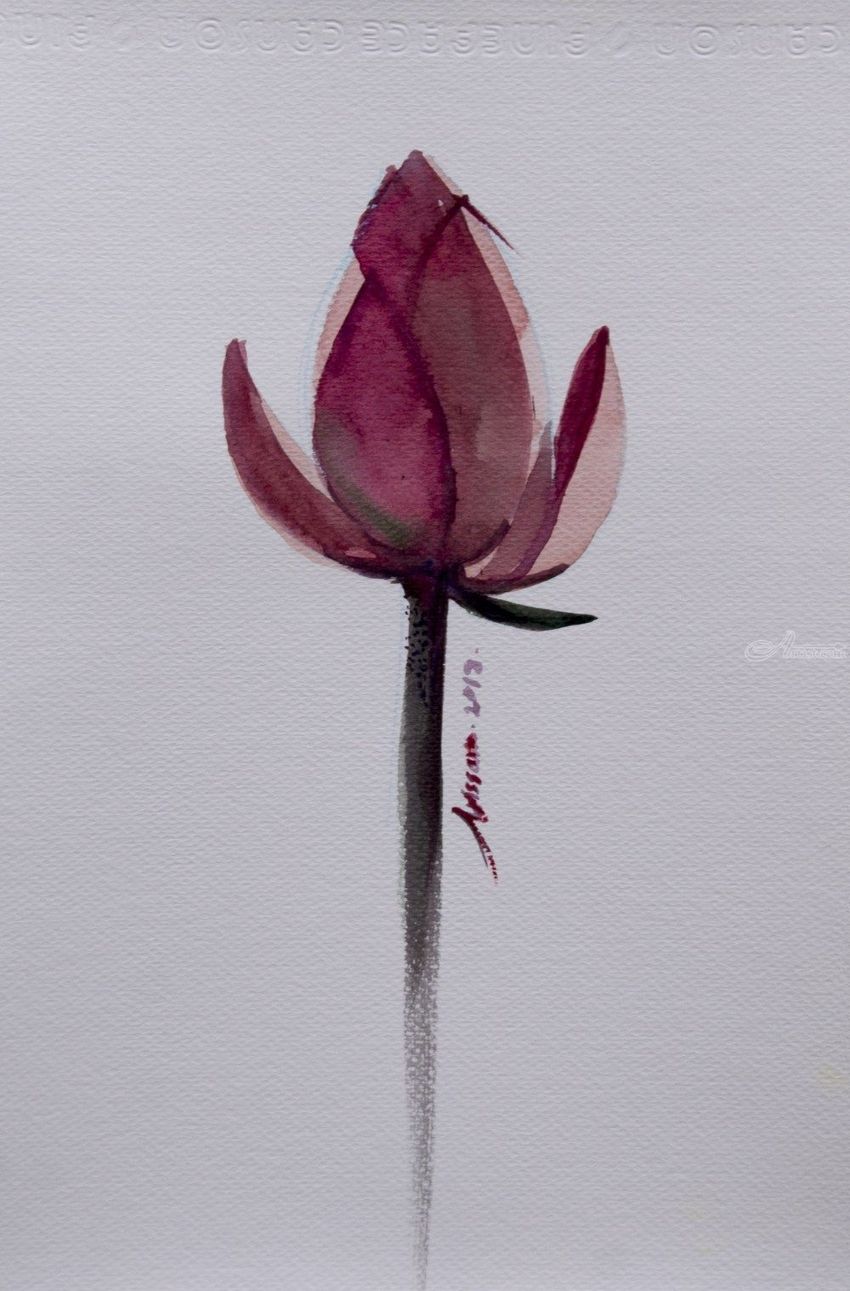 850x1291 Lotus Flower Watercolor Painting On Paper Paintings By Arissara