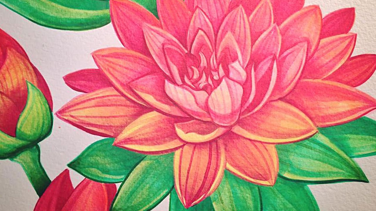 1280x720 Lotus Watercolour Painting