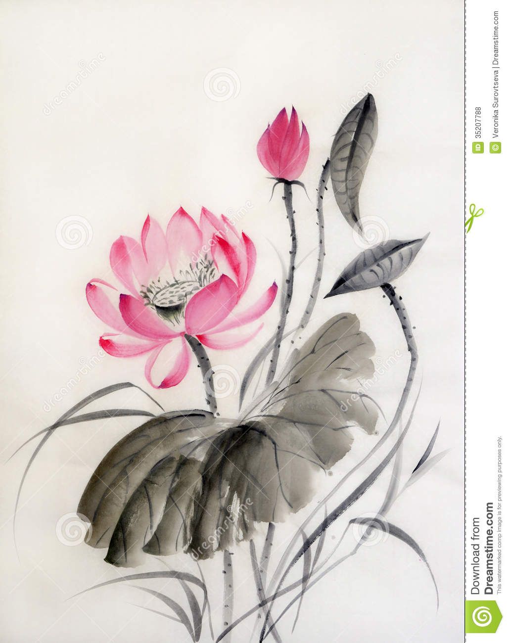 1029x1300 Watercolor Painting Of Lotus Flower Royalty Free Stock Photos