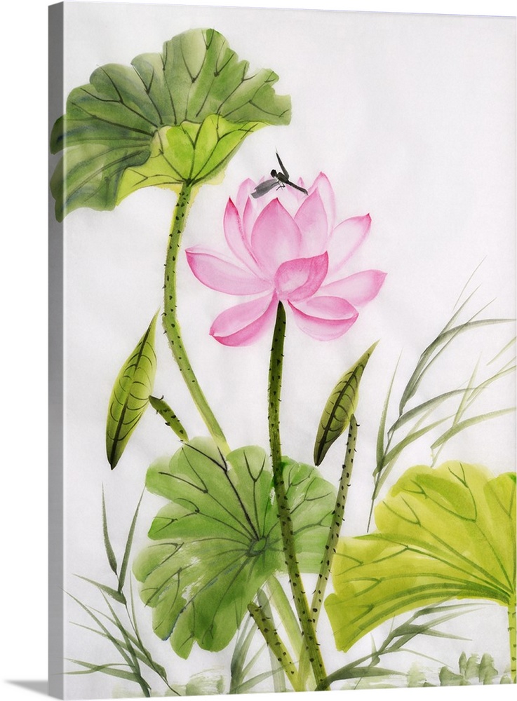 737x1000 Watercolor Painting Of Lotus Flower Wall Art, Canvas Prints