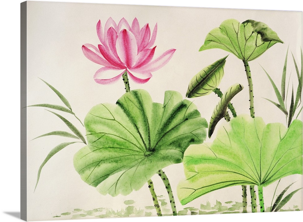 1000x732 Watercolor Painting Of Pink Lotus Flower Wall Art, Canvas Prints