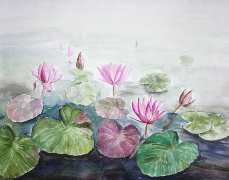 468x369 Watercolor Painting Of Lotus Flowers Premium Clipart