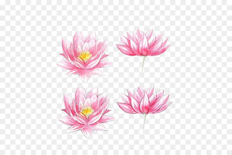 900x600 Watercolour Flowers Watercolor Painting Drawing