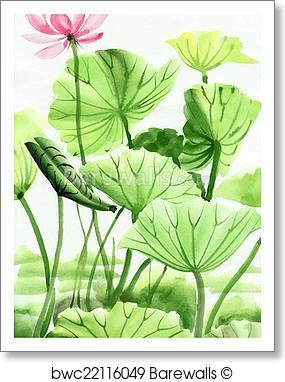 285x382 Art Print Of Lotus Flower Watercolor Painting Barewalls Posters