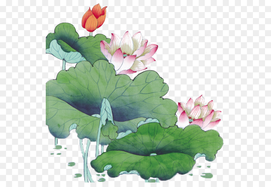900x620 Download Static Variable Clip Art Hand Painted Lotus Watercolor