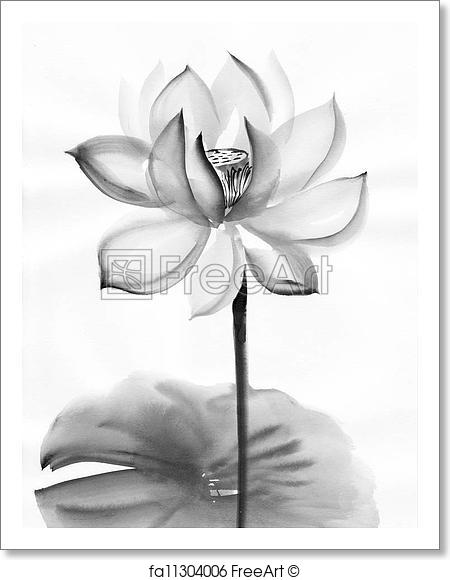 450x580 Free Art Print Of Watercolor Painting Of Lotus Flower. Original