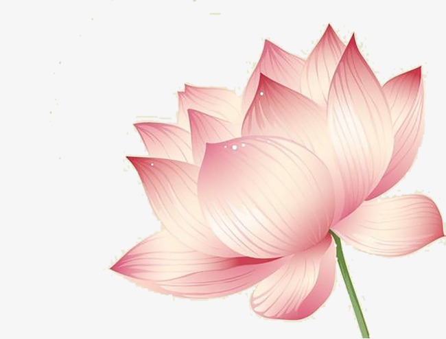 650x494 Lotus Clipart Watercolor ~ Frames ~ Illustrations ~ Hd Images